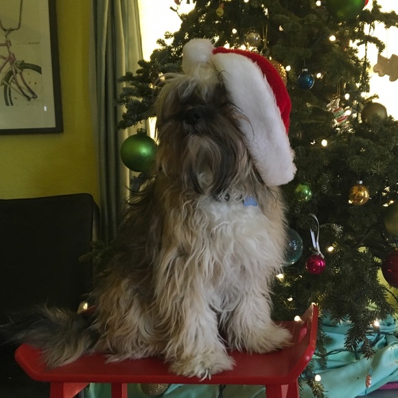 Meet your Posher, Meighan - Picture 4 of 7